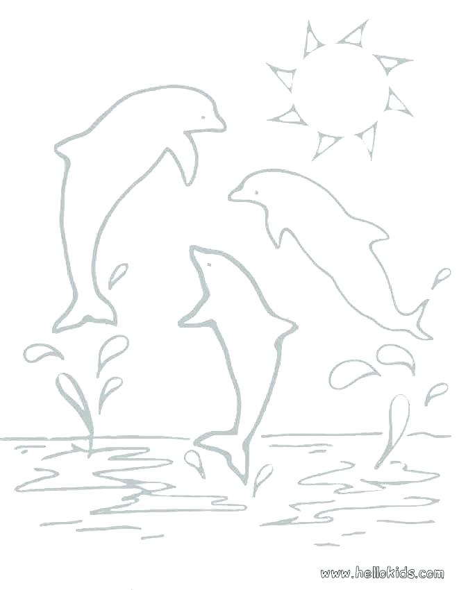 661x850 Printable Dolphin Coloring Pages Dolphin Coloring Pages For Adults