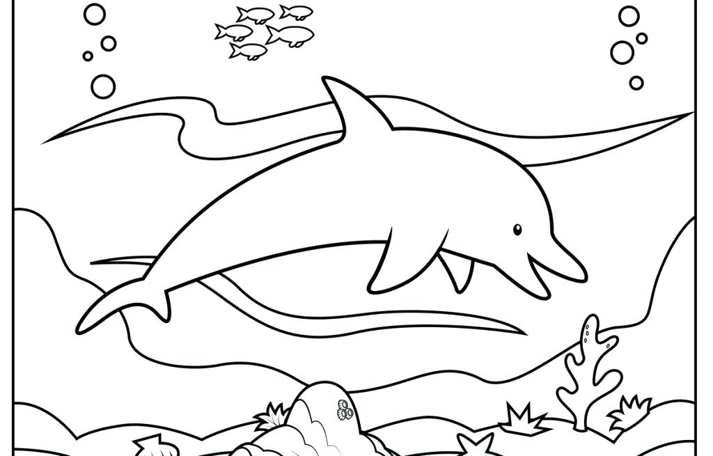 1024x655 Printable Dolphin Coloring Pages Dolphins Coloring Pages