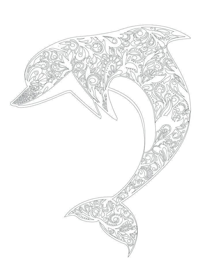 736x952 Printable Dolphin Coloring Pages For Adults Free Printable