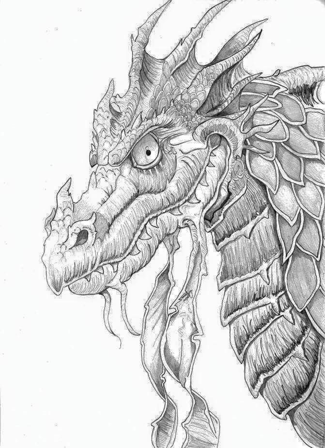 671x924 99 Best Adult Coloring Pages Dragons Images