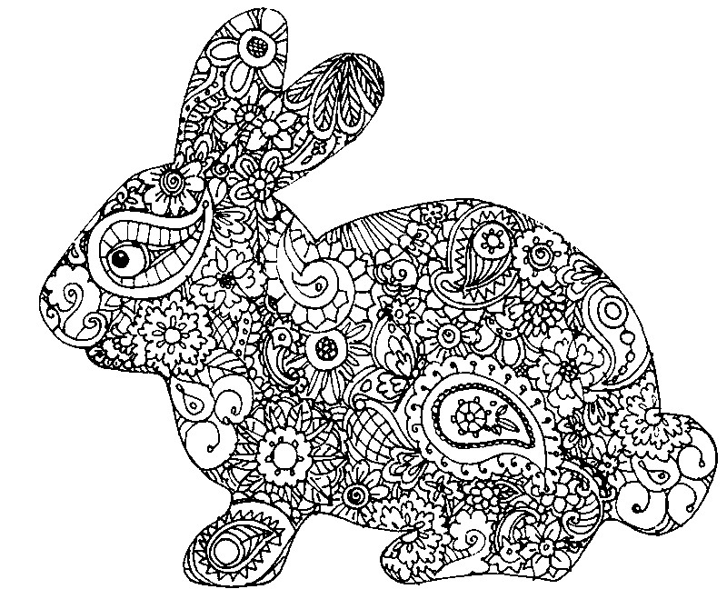 Adult Easter Coloring Pages Adult Coloring Page Easter Rabbit 800x659 Adult Easter Coloring Pages Adult Coloring Page Easter Rabbit
