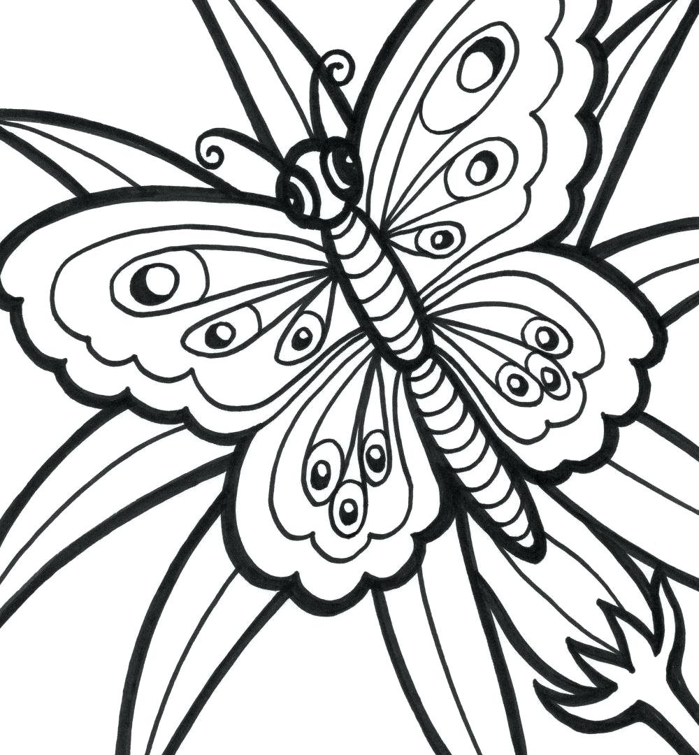 New Easy Butterfly Adult Coloring Pages Design Printable 1000x1080 New Easy Butterfly Adult Coloring Pages Design Printable