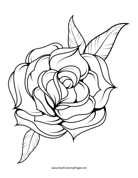 Unfold Coloring Page 281x363 Unfold Coloring Page