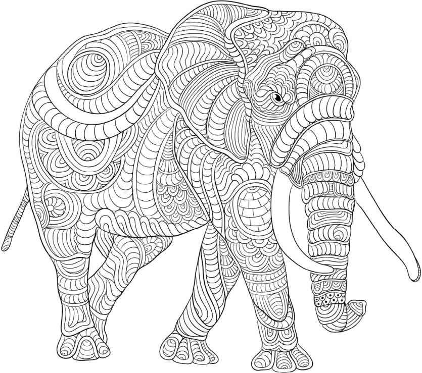 835x739 Animal The Animal Coloring Book