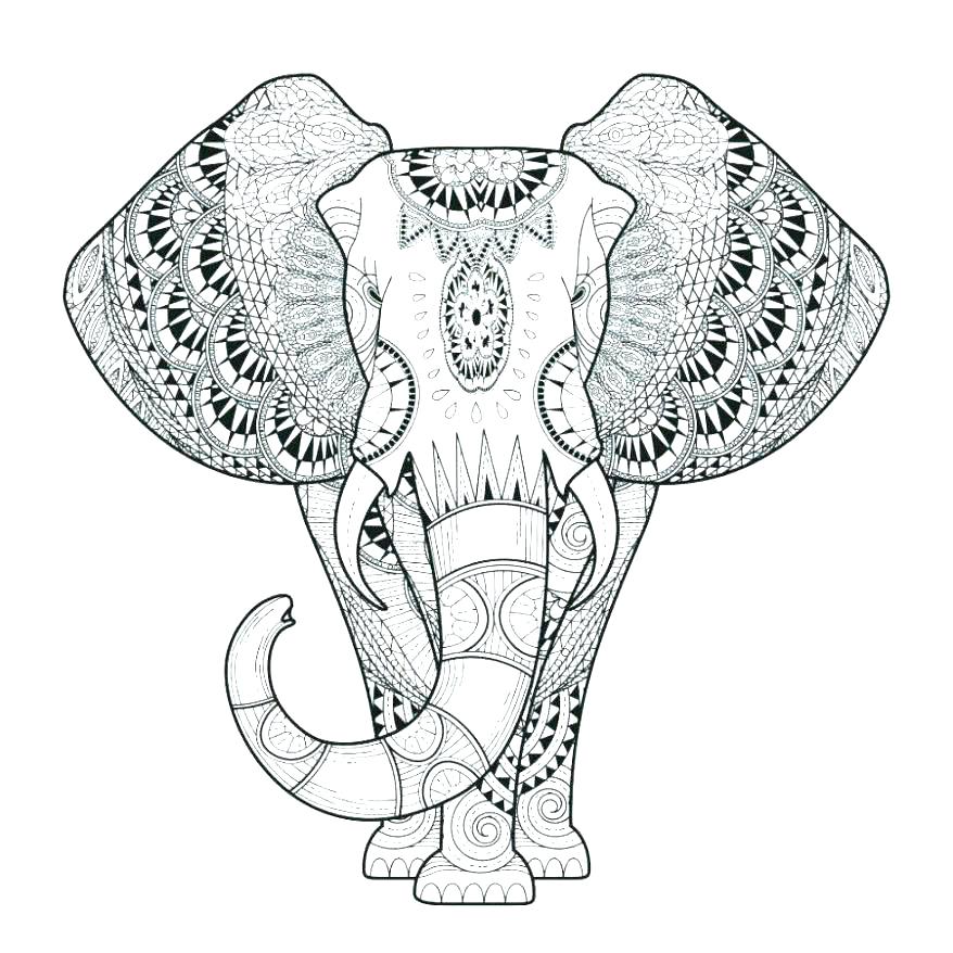 878x878 Coloring Pages Of Elephants Elephant Adult Coloring Page Elephant