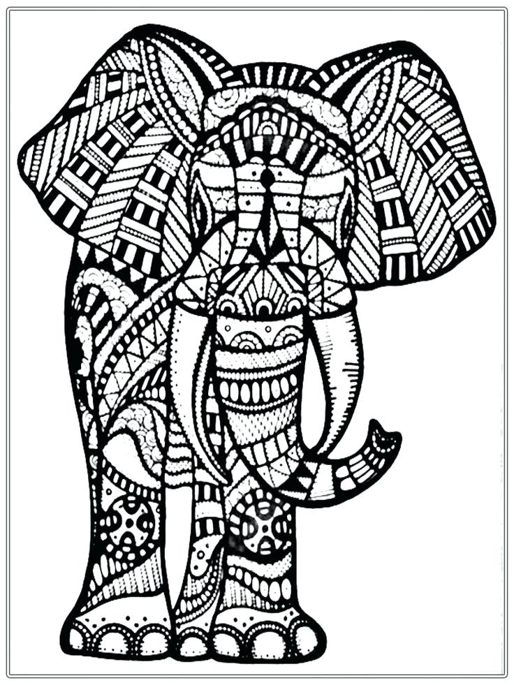 736x981 Elephant Adult Coloring Page Elephant Coloring Sheet 8 Elephant
