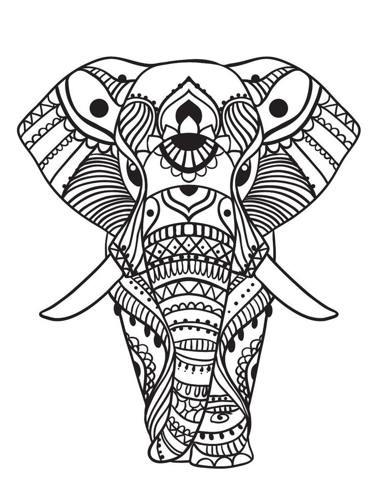 736x980 Adult Coloring Pages Easy Elephant Free