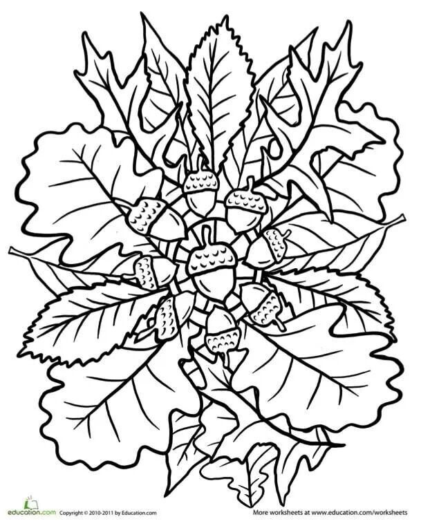 Autumn Coloring Pages 609x764 Autumn Coloring Pages