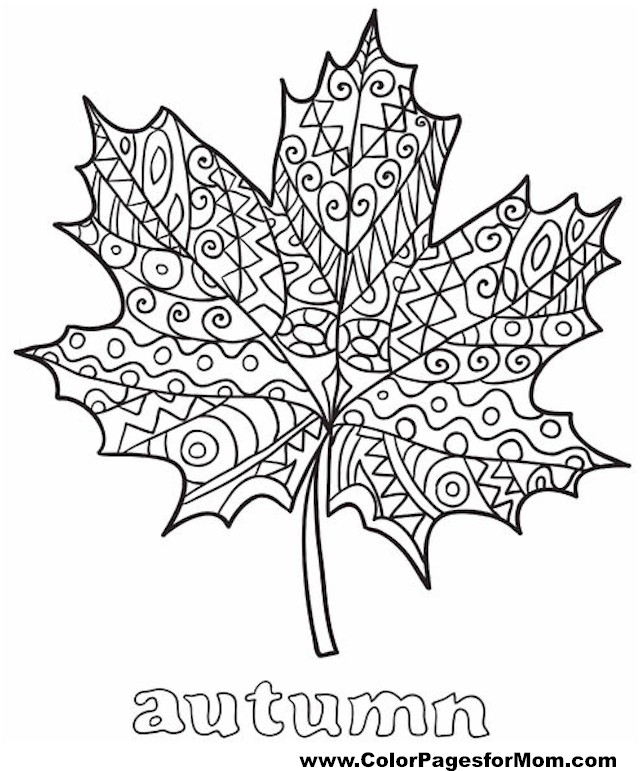 Fall Coloring Pages 2 640x771 Fall Coloring Pages 2