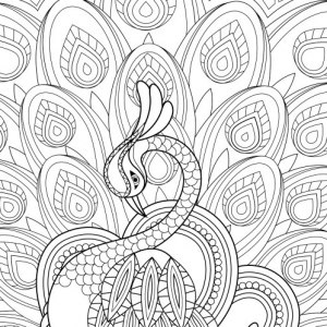 300x300 Coloring Pages To Print (101 Free Pages!)
