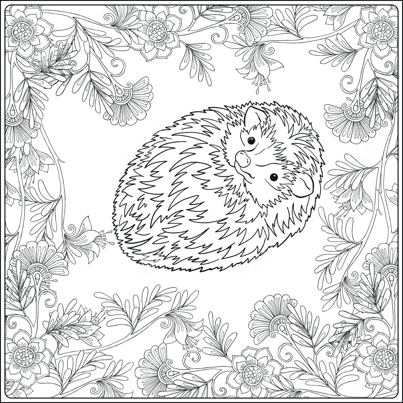 Coloring Pages ~ Garden Coloring Pages Gardening Flower Garden 1300x1300 Coloring Pages ~ Garden Coloring Pages Gardening Flower Garden