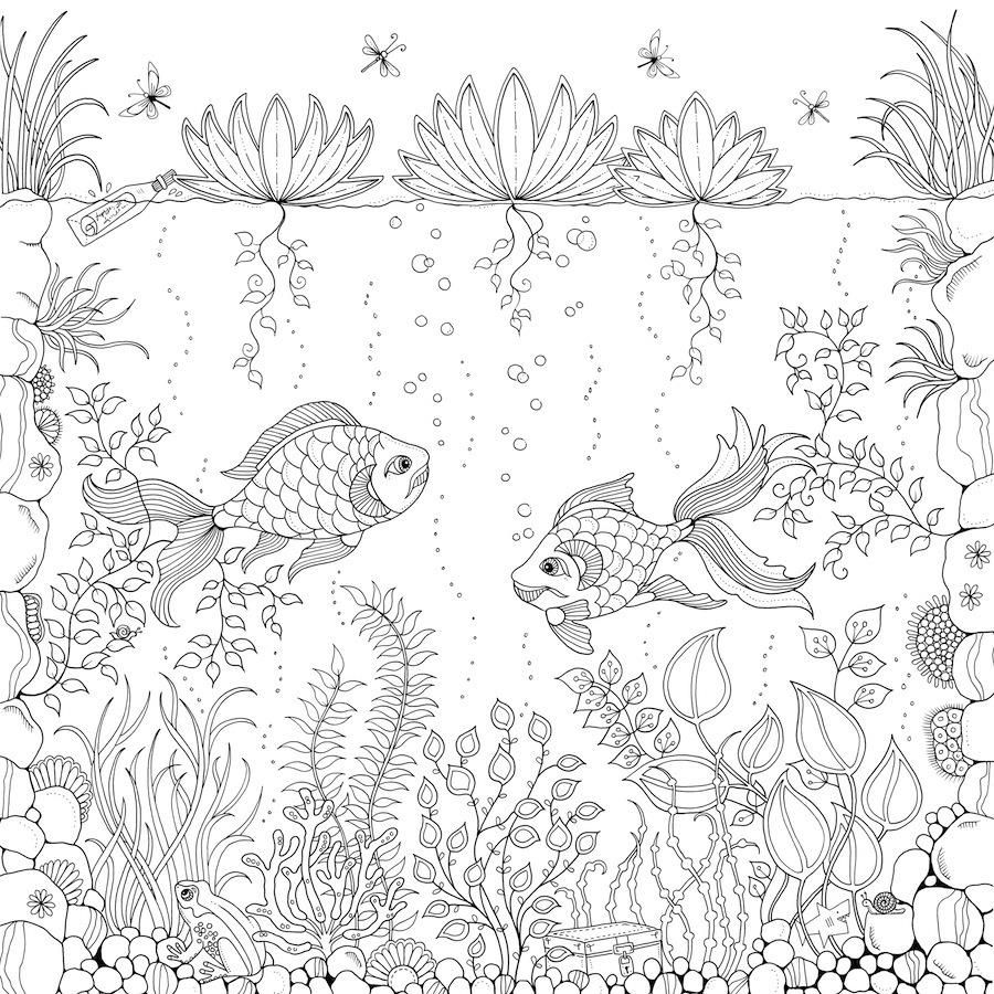 Httpcolorings.coadult Coloring Book Pages Secret Garden 900x900 Httpcolorings.coadult Coloring Book Pages Secret Garden