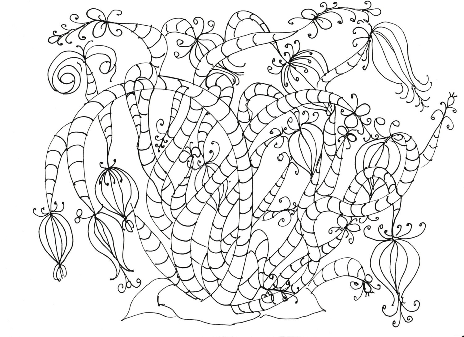 Adult Coloring Pages Flowers, Plants, Garden 1500x1092 Adult Coloring Pages Flowers, Plants, Garden