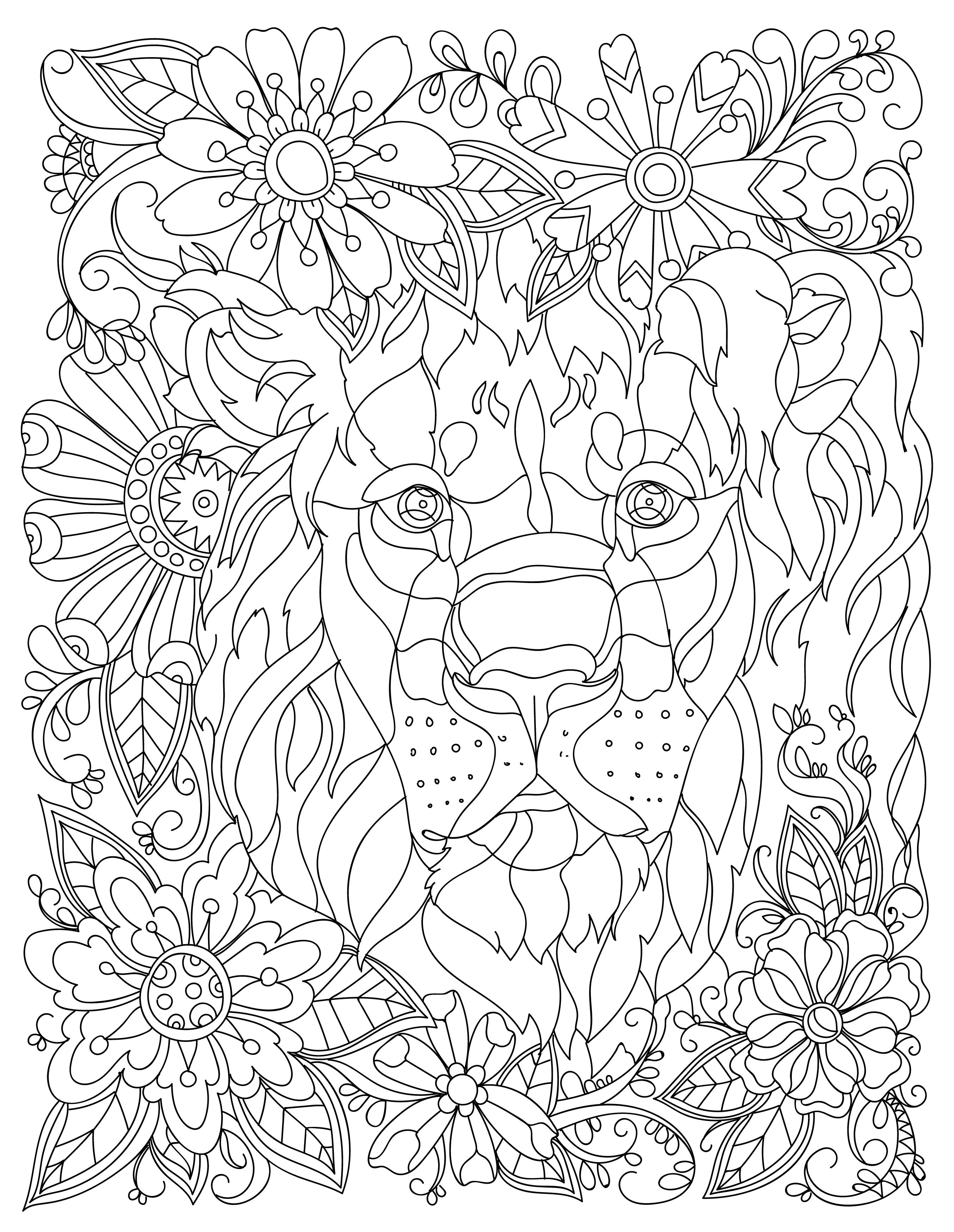 2706x3493 Download This Beautiful Free Lion Adult Coloring Page. Coloring