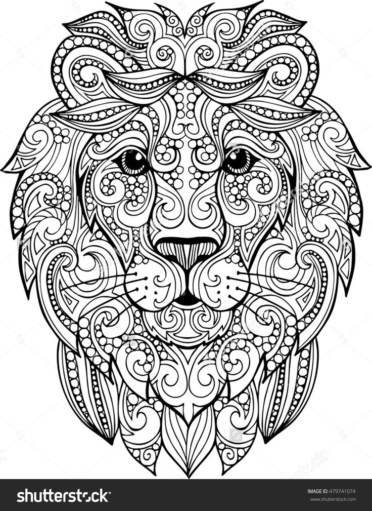 736x1009 Lion Coloring Pages Simple Best 25 Lion Coloring Pages Ideas