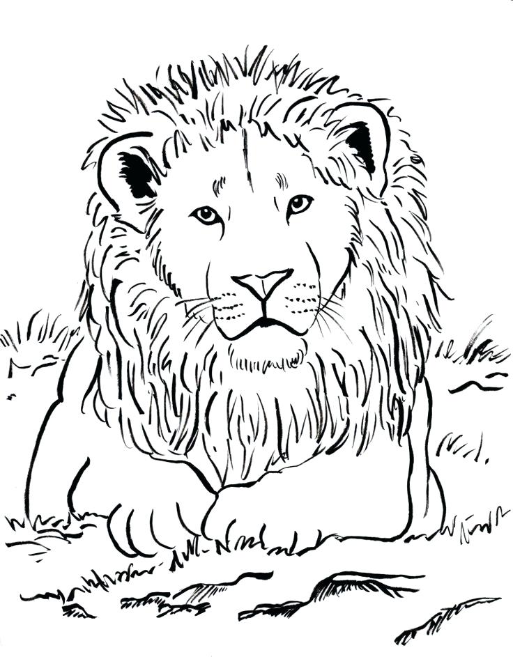 736x943 Lovely Adult Coloring Page For Week 3 Upside Down Lots Of Animal