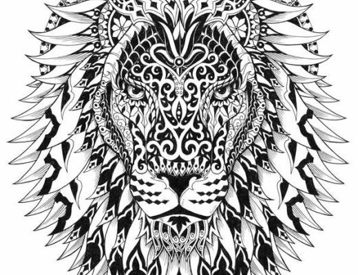 520x400 Adult Coloring Pages Lion 4