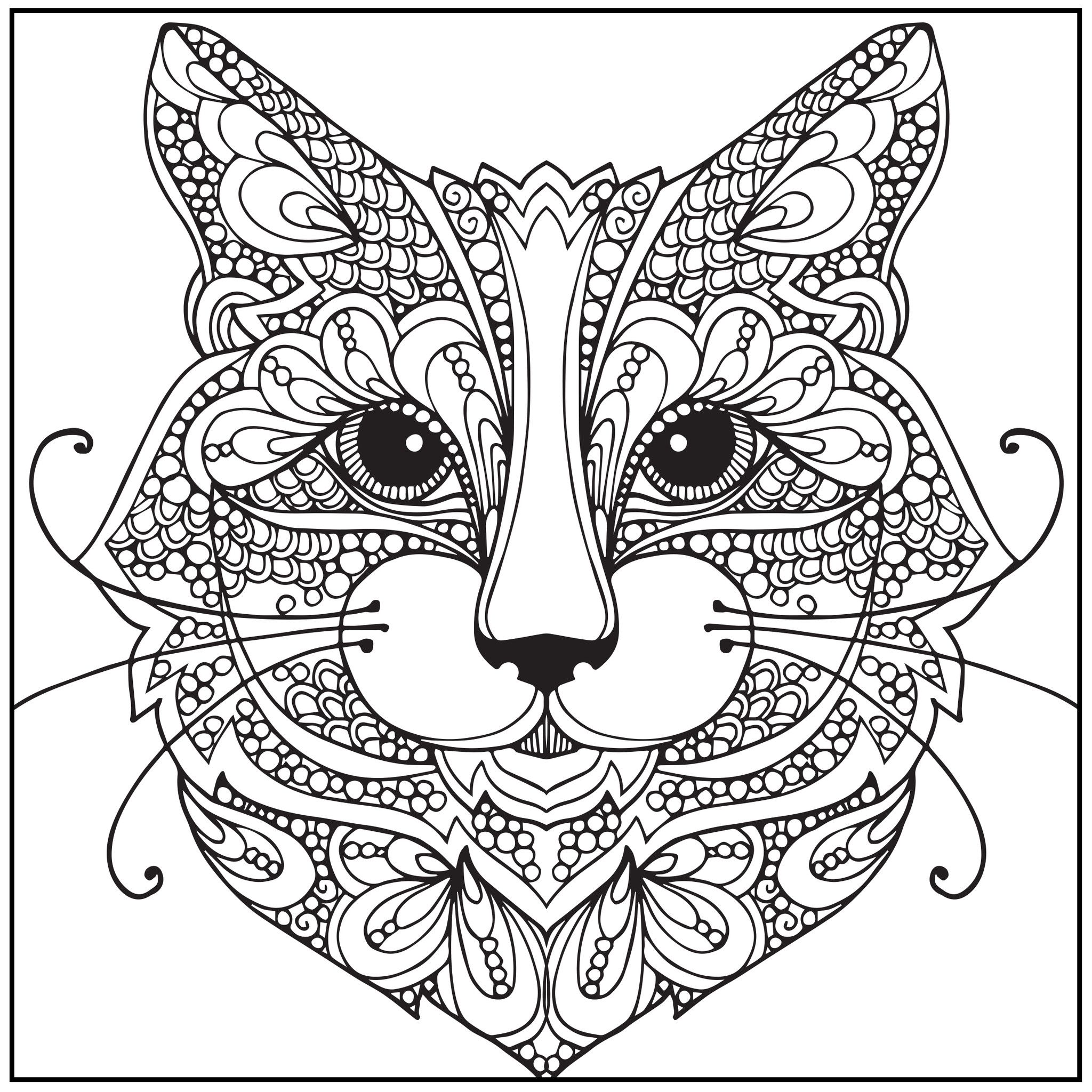 2048x2048 Color With Music Wild About Cats Adult Coloring Book (Blank Page