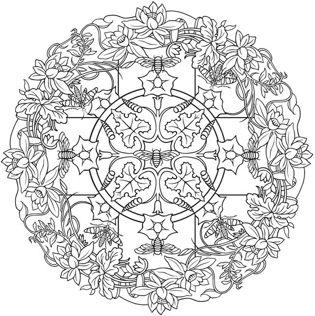 650x651 Creative Haven Nature Mandalas Color Page 1 Adult Coloring Pages