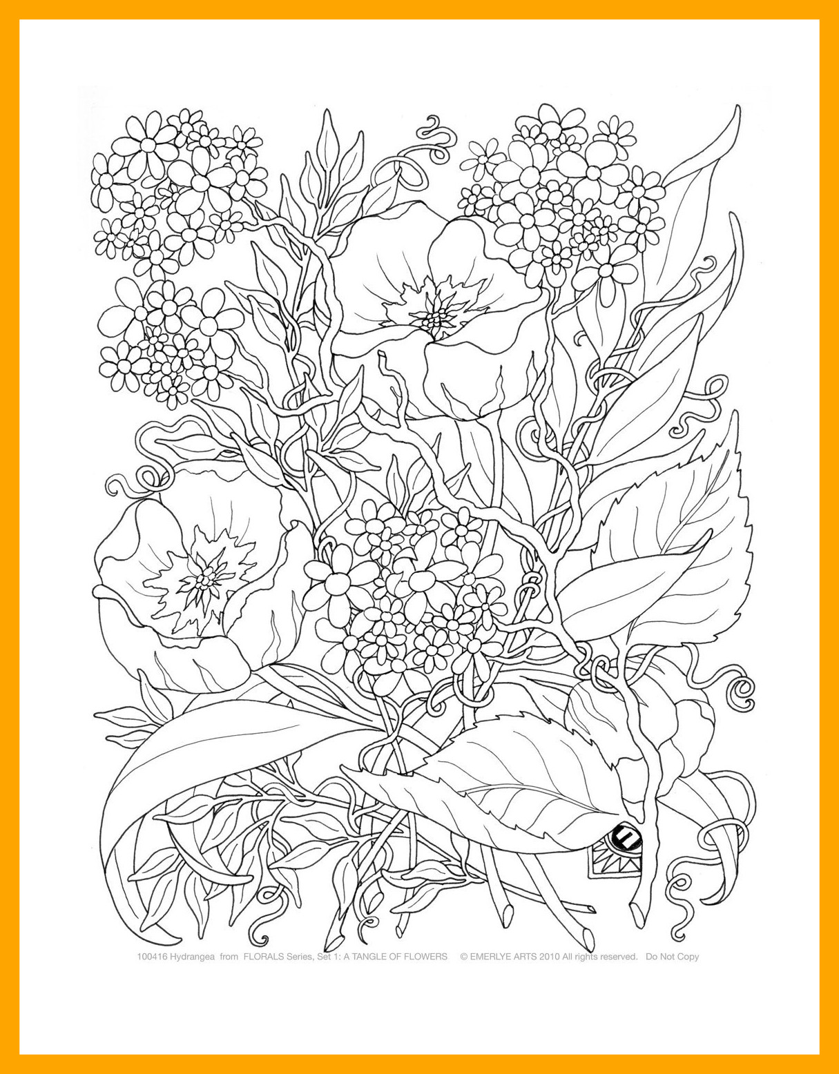 1215x1556 Nature Colouring Pages Printable