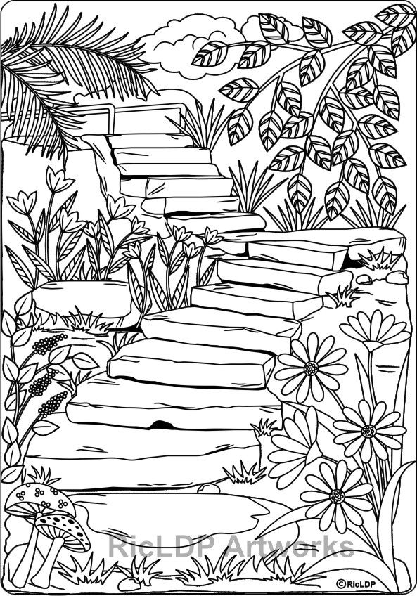 593x848 Twenty Coloring Pages For Grown Ups Adult Coloring, Coloring