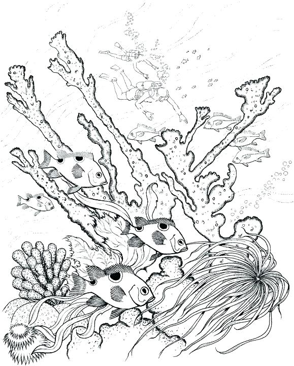 Ocean Coloring Page Underwater Coloring Pages Adult Coloring Page 579x720 Ocean Coloring Page Underwater Coloring Pages Adult Coloring Page