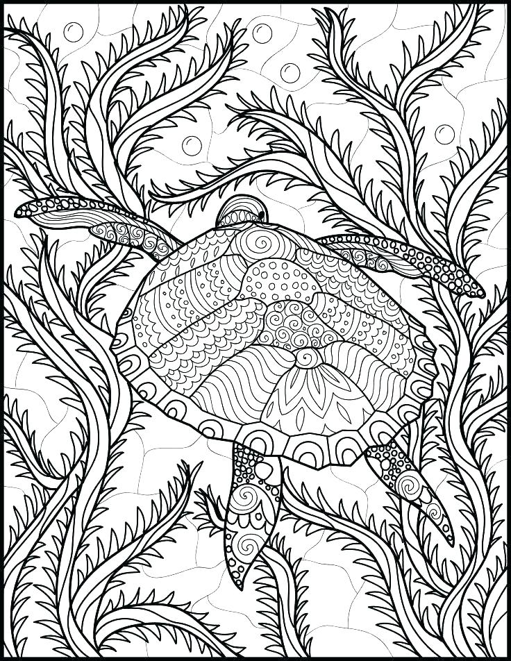 Ocean Sea Life Coloring Pages Ocean Life Coloring Pages Free 736x952 Ocean Sea Life Coloring Pages Ocean Life Coloring Pages Free