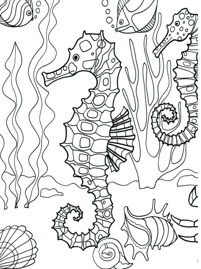 Coloring Pages Under The Sea Vanda 700x934 Coloring Pages Under The Sea Vanda
