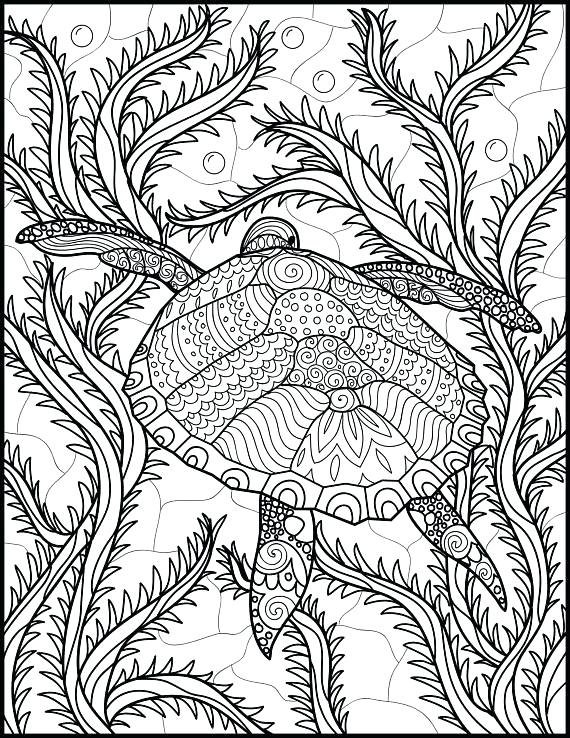 Sea Turtle Printable Coloring Pages Vanda 570x738 Sea Turtle Printable Coloring Pages Vanda