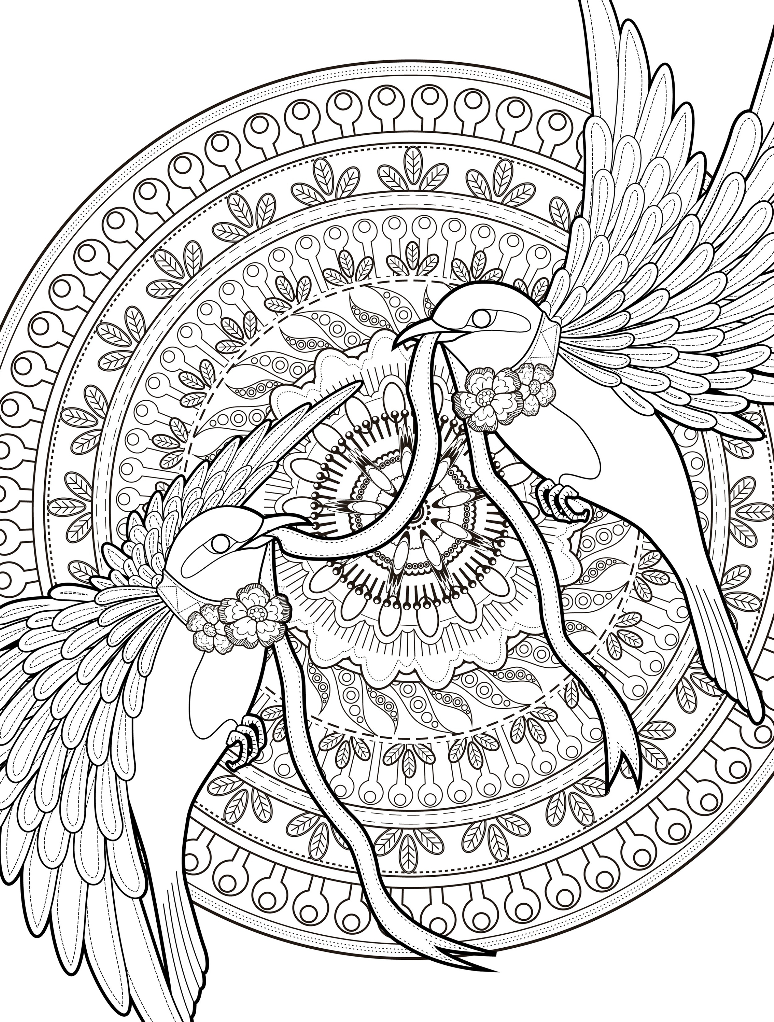 2500x3300 Peacock Feather Coloring Pages Colouring Adult Detailed Advanced