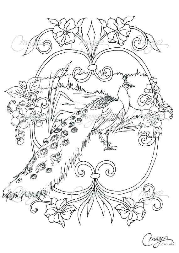 570x806 Peacock Pictures Coloring Pages Peacock Coloring Pages Excellent