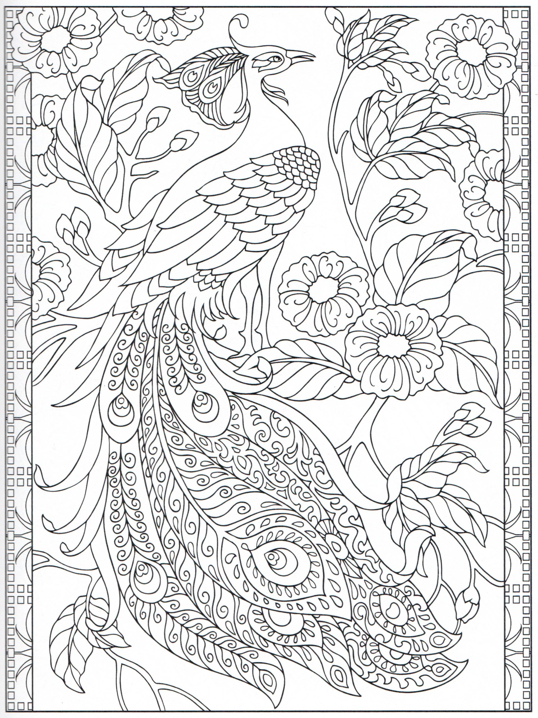 2188x2919 Peacock Coloring Page 2431 Color Pages, Stencils, Templates