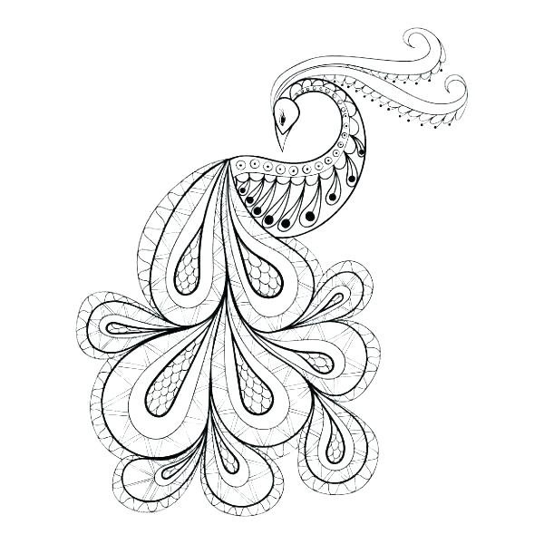 600x600 Coloring Pages Peacock Peacock Coloring Sheet Peacock Coloring