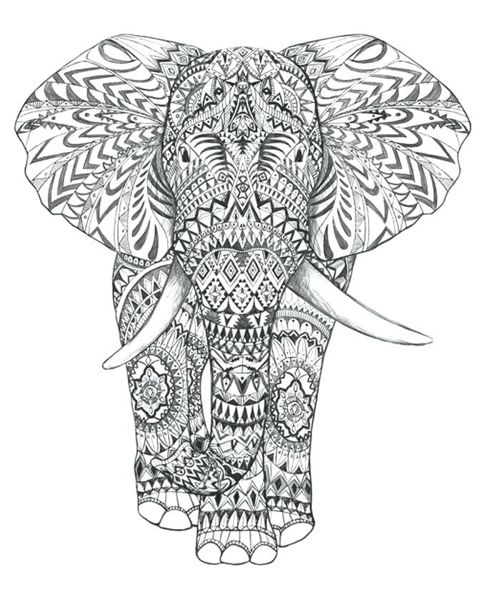 Free Printable Elephant Coloring Pages For Adults Download 675x825 Free Printable Elephant Coloring Pages For Adults Download