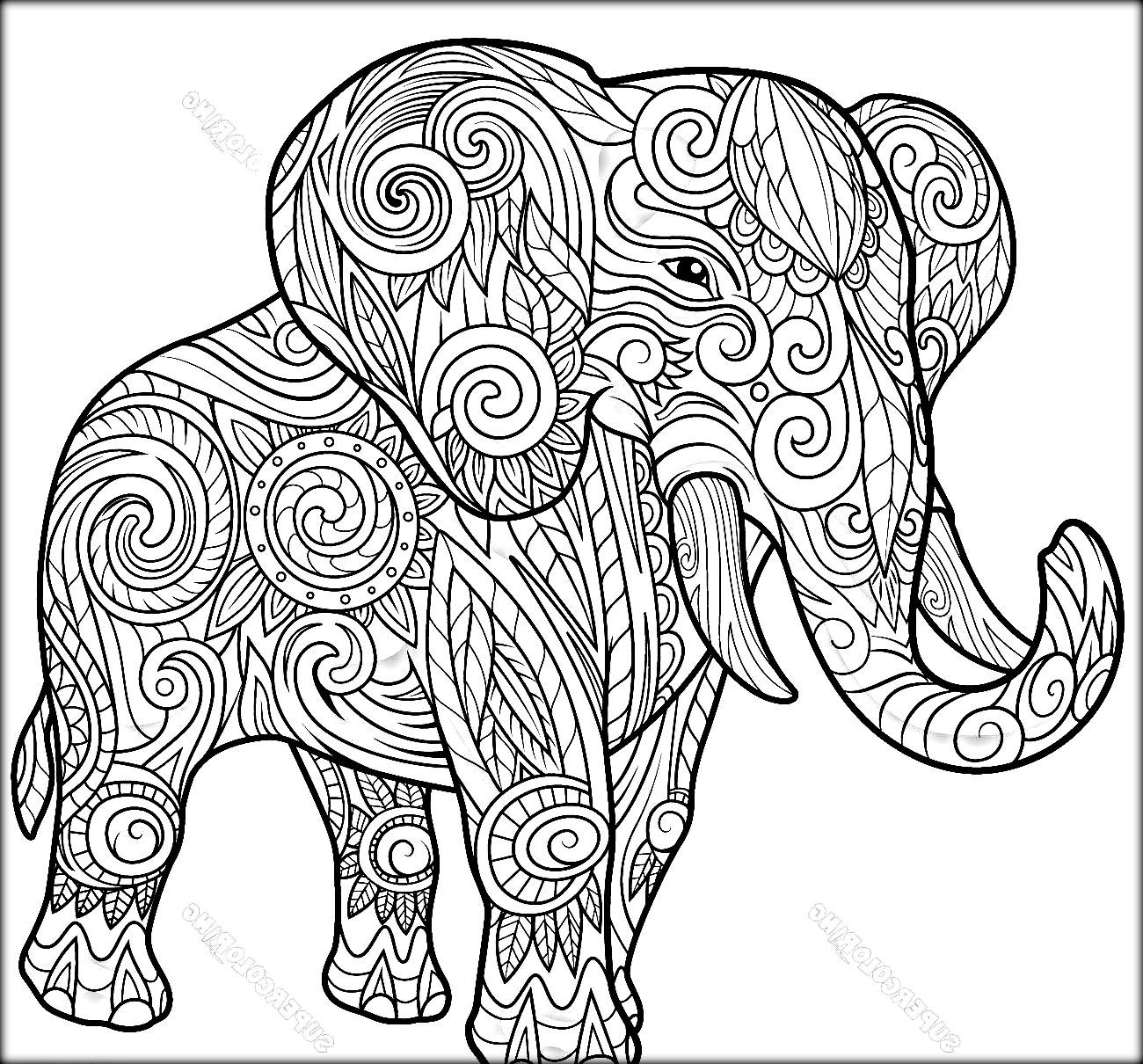 The Best Elephant Adult Coloring Pages Printable For Kids Cute 1300x1210 The Best Elephant Adult Coloring Pages Printable For Kids Cute