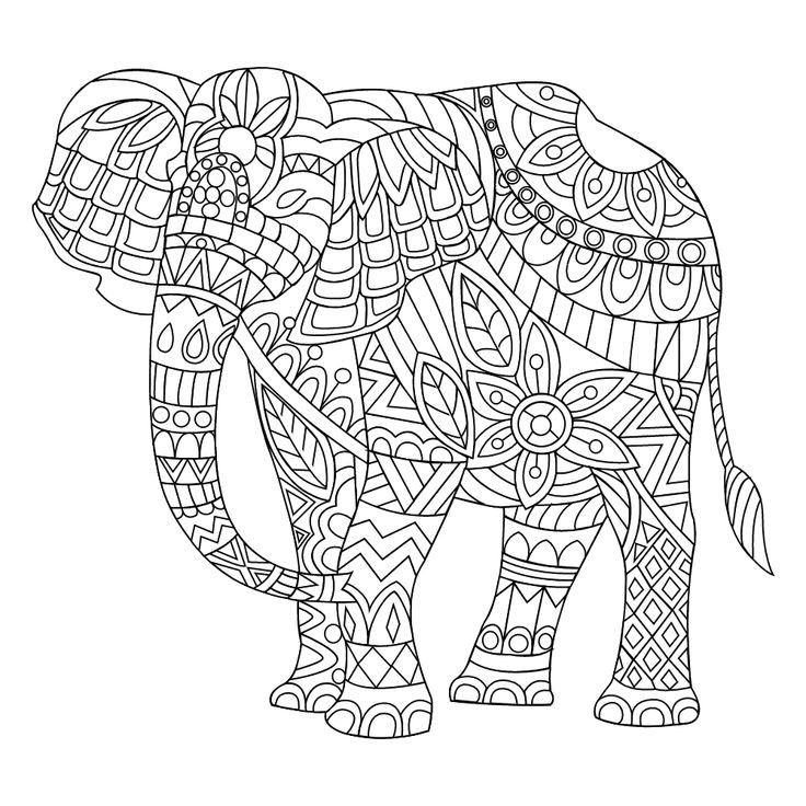 Adult Coloring Pages Printable Elephant Fresh 499 Best Coloring 736x736 Adult Coloring Pages Printable Elephant Fresh 499 Best Coloring
