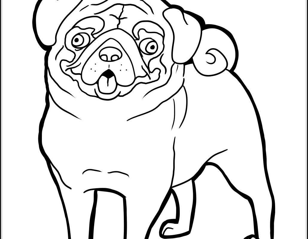 Adult Coloring Pages Pug at GetColorings.com | Free printable colorings ...