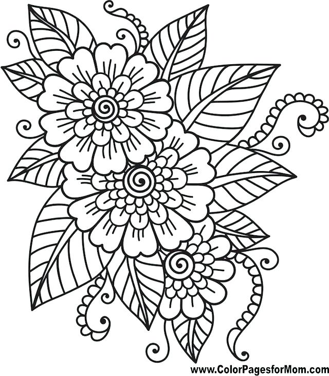 640x732 Easy Printable Color Amazing Adult Coloring Pages Flowers