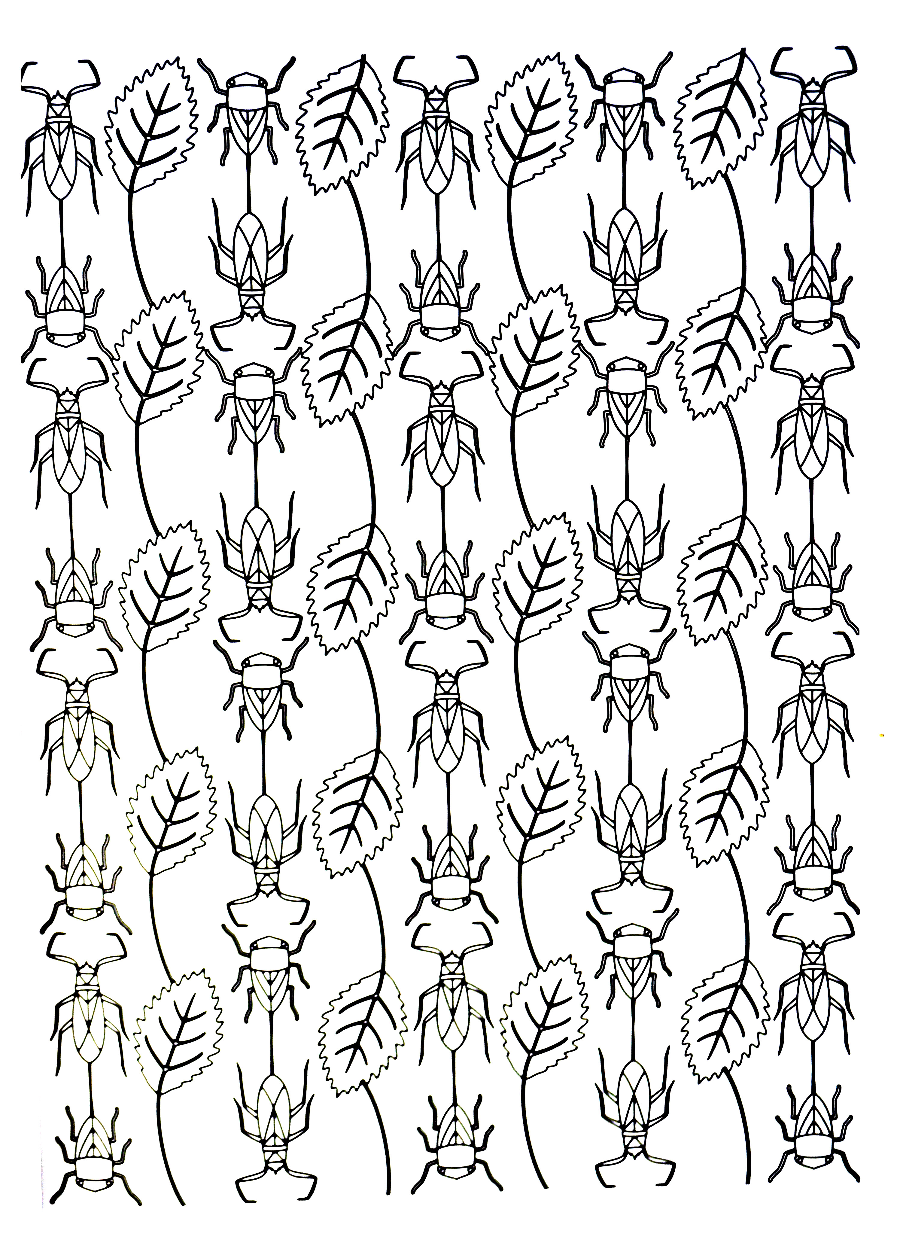 2996x4107 Autumn Leaves