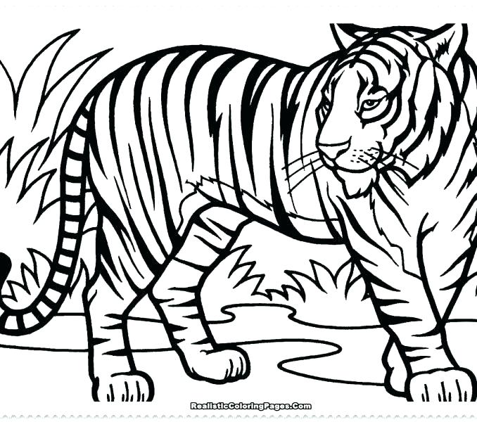 678x600 Cute Tiger Coloring Pages Kids Coloring Pages Printable And Online