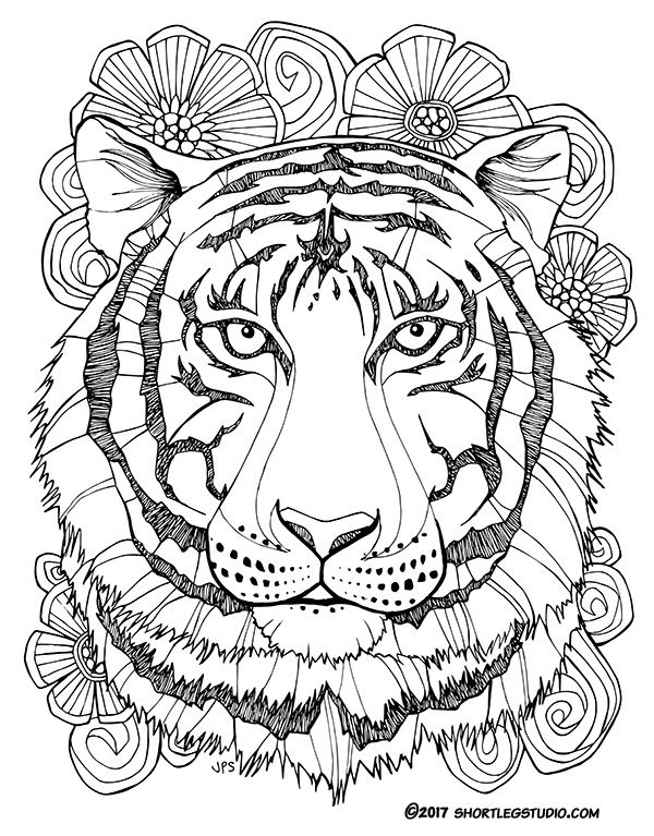 600x767 New Tiger Coloring Sheets Tigers, Adult Coloring And Craft