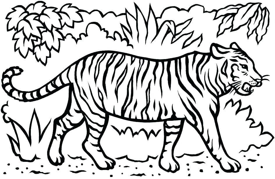 945x615 Printable Tiger Coloring Pages Cute Baby Animal Coloring Pages