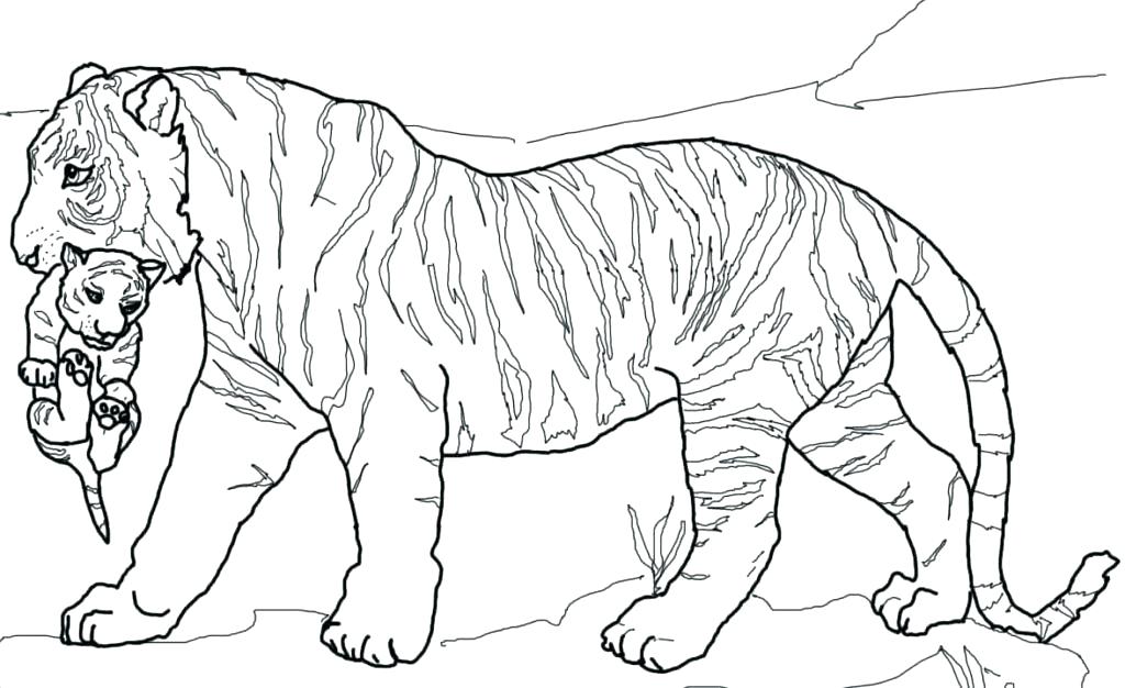 1024x626 Tiger Coloring Pages Best Adult Coloring Pages Images On Coloring