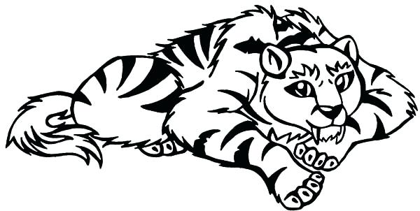 600x302 Tiger Coloring Pages Saber Tooth Tiger Coloring Pages Tiger