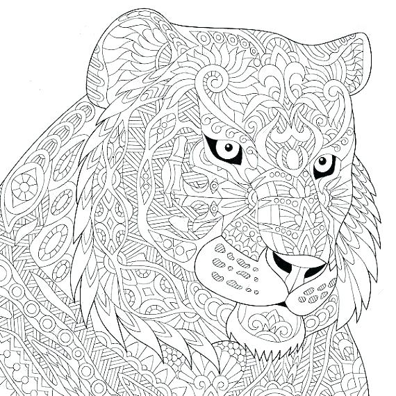 570x570 Tiger Coloring Pages Tiger Coloring Pages Photo 8 Tiger Colouring