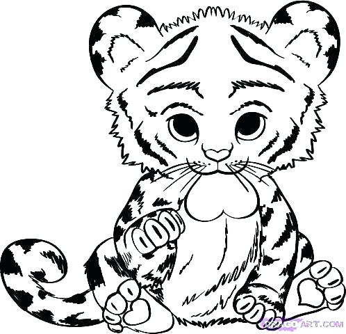 498x480 Tiger Coloring Pages Tiger Without Stripes Coloring Page Tiger