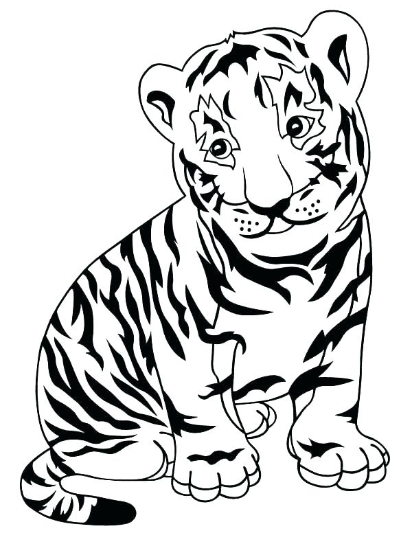 600x776 Tigers Coloring Pages Coloring Picture Of Tiger Adult Coloring