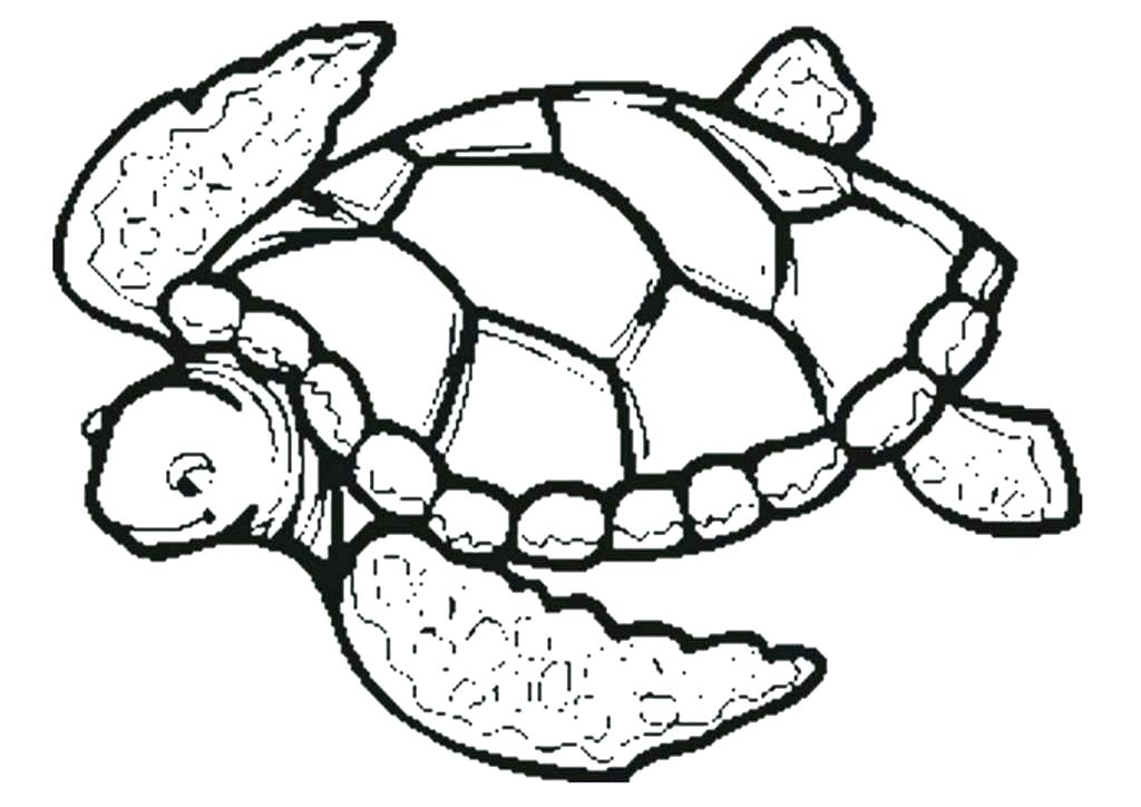 1024x724 Coloring Page Turtle Sea Turtle Bubble Free Coloring Page Free