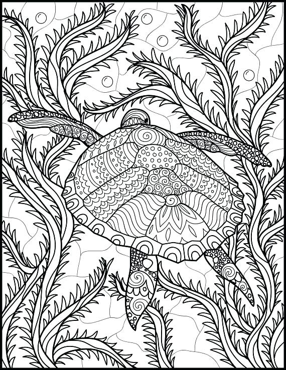 570x738 Ocean Coloring Pages For Adults Dolphin Color Page Dolphin