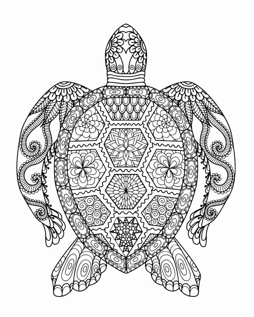 864x1080 Turtle Adult Coloring Pages